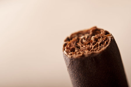 closeup of cigar on background