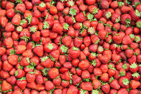 Fresh red strawberry on backgroundの写真素材