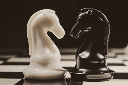 black and white knights on backgroundの写真素材