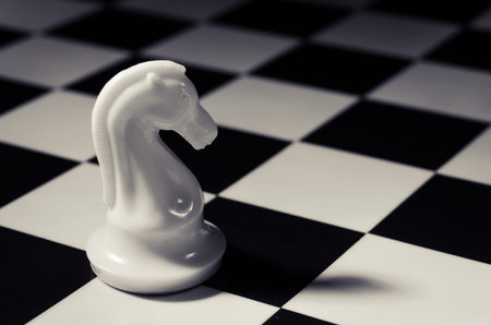 Chess white knight on board