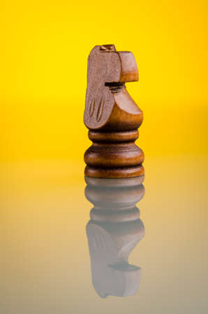 chess knight on a backgroundの写真素材