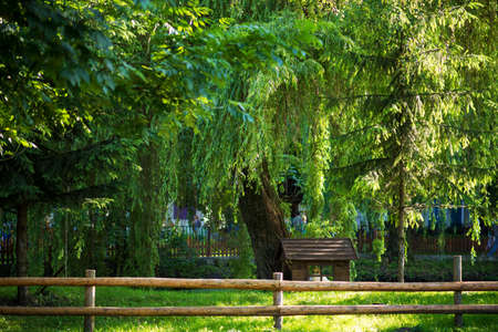 sunny day in the park zooの写真素材
