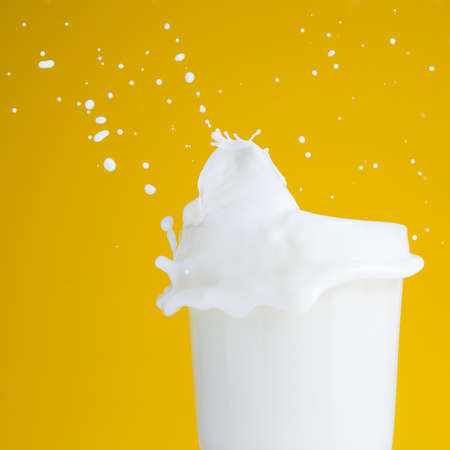 Fresh milk splash on yellow backgroundの写真素材