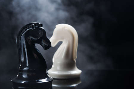 Chess pieces of knight on dark backgroundの写真素材