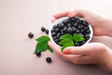 fresh currant berry with green leafの写真素材