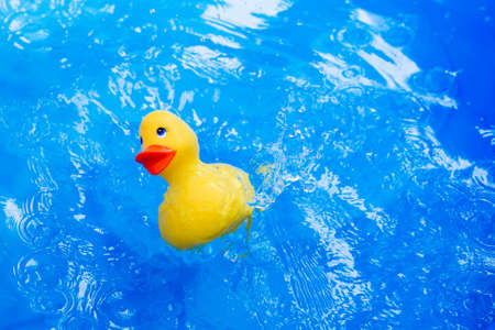 Children toy duck with water drops on blue backgroundの写真素材