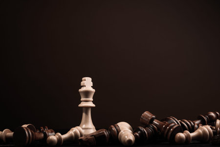 winner white big chess king on dark backgroundの写真素材