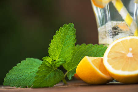 closeup of mint leaf wih lemon fruitの写真素材