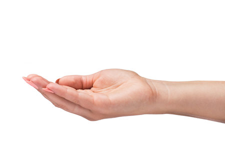woman hand palm isolated on a white background. concept of gesture protectionの写真素材