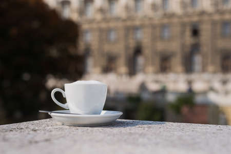 White coffee cup with foam on a street at green park, sunny dayの写真素材