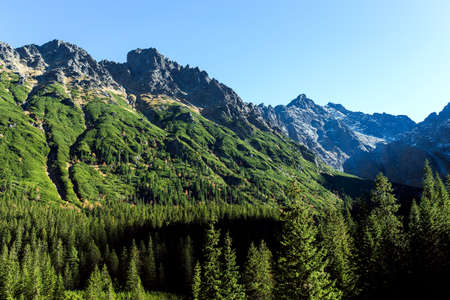 landscape view of rock mountain and green forest on a sunny dayの写真素材