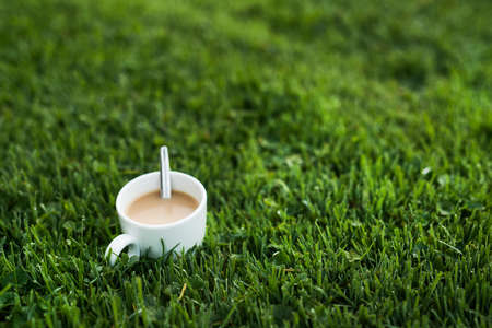A hot cup of coffee on a cold morning, on green grass with dew backgroundの写真素材