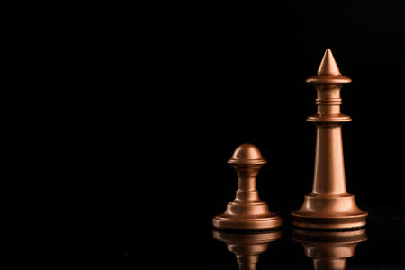lonely chess king and pawn on black background. unfair confrontationの写真素材