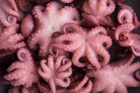 Closeup of small marinated octopus. Asian food background.の写真素材