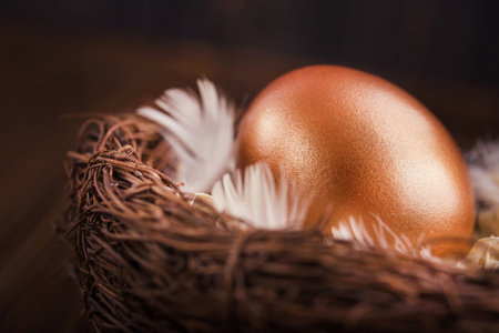 one golden egg in the nest on a wooden table. concept of wealth and luck.の写真素材