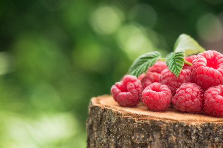 Fresh and natural raspberry with leaf on a wood stump green garden. farming and harvesting berry....