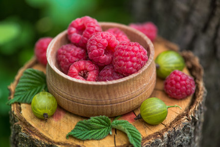 Forest berries gooseberry and raspberry on a stump in garden. Sweet vitamin and summer berry on green background.の写真素材