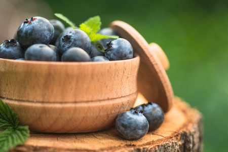 Fresh and natural blueberry with mint leaf on a stump green garden background. farming and harvesting berry.の写真素材