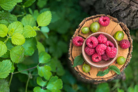 Forest berries gooseberry and raspberry on a stump in garden. Sweet vitamin and summer berry on green background. copy space text. top viewの写真素材