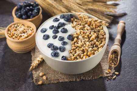 Bowl of homemade crispy granola with yogurt, fresh blueberry and wheat seeds on a stone background. healthy cereal morning breakfast.の写真素材
