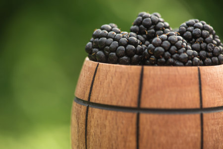 Fresh and natural blackberry with mint leaf on a stump green garden background. farming and harvesting berry.の写真素材