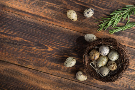 Closeup of quail eggs in nest on a wooden background. top view. copy spaceの写真素材