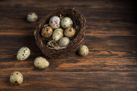 Closeup of quail eggs in nest on a wooden background.の写真素材