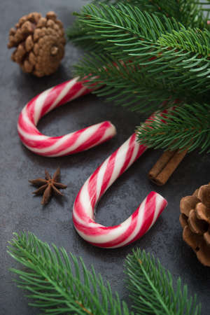 Concept of Merry Chrismas holiday with fir tree, cones and candy canes on a stone background.の写真素材