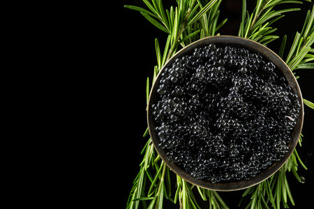 Black caviar in a metal container with green fresh rosemary isolated on a background. top viewの写真素材