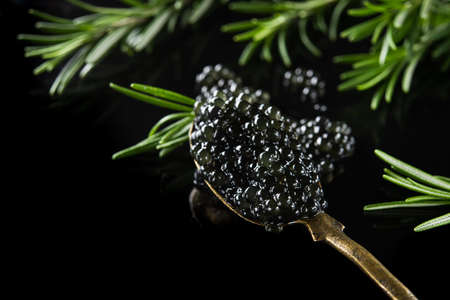 Black caviar in a metal container with green fresh rosemary isolated on a backgroundの写真素材