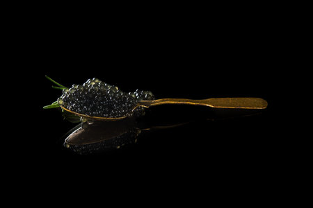 Black beluga caviar on a spoon isolated on a black background. seafood diet food