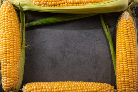 Young fresh corn on a stone table background. Diet food. top view. frame.