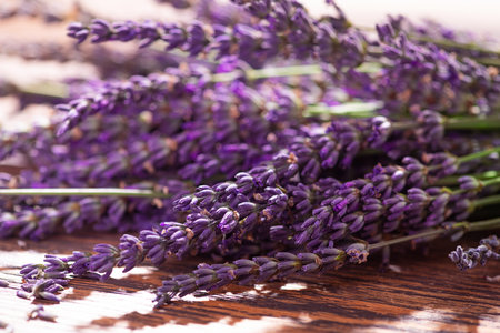 Close up of a lavender flower. beautiful flora background.の写真素材