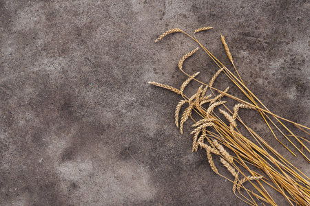 Ukraine wheat ears lying on the road. decrease harvest. top view. place for text.の写真素材