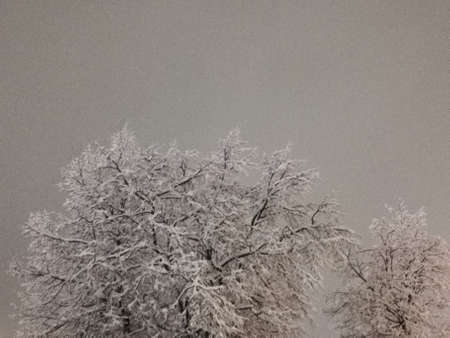 winter sketchesの写真素材