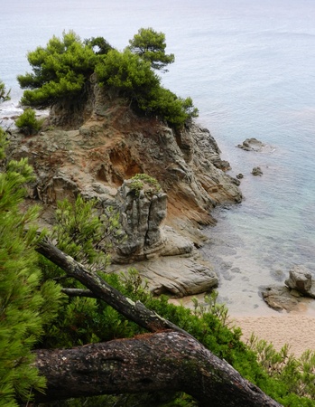 Costa Brava landscape, Lloret de Mar, Catalonia, Spain の写真素材