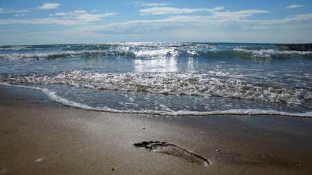 trail foot on the wet sand of the seashore の写真素材