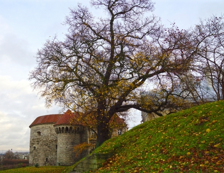 Fat Margaret Tower in Tallin, Estonia のeditorial素材