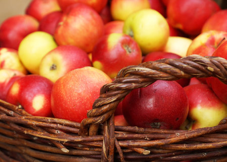 ripe apples in the basket 