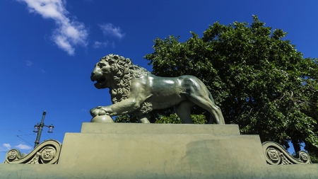 lion on the Admiralty Embankment, St. Petersburg, Russiaの写真素材