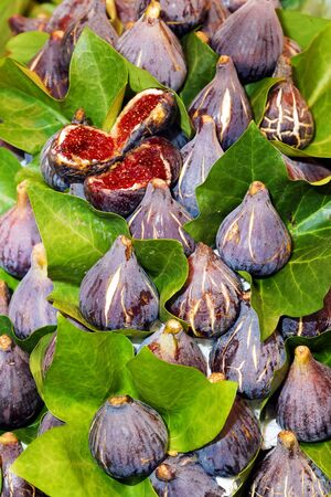 ripe figs in the foliageの写真素材