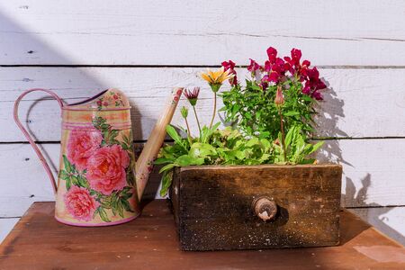 Vintage furniture box with flowersの写真素材