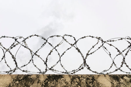 Barbed wire on a concrete fence