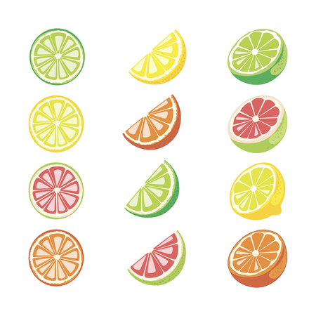 Assorted fruit: lemon, lime, orange, grapefruit. Half and segment of fruits. Vector image.のイラスト素材