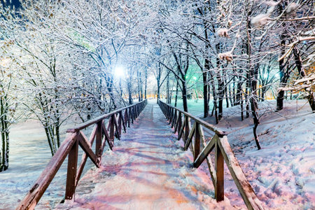 wooden bridge in a snowy park in the evening