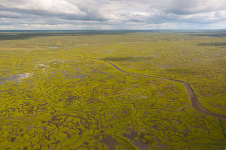 Arctic tundra from a bird's eye view. Lakes and riversの写真素材