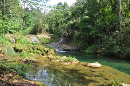 a small river and beautiful waterfall in the jungleの写真素材