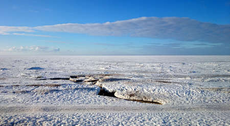 Bank of the White sea near Archangelsk city, Russiaの写真素材