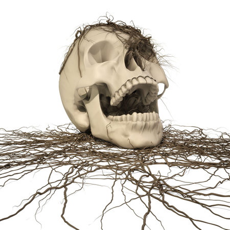human skull with a trailing vine. の写真素材