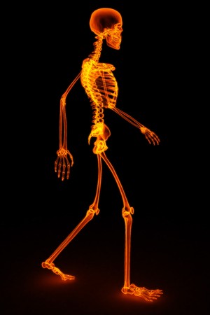 walking skeleton by X-rays in red. 3D image.の写真素材